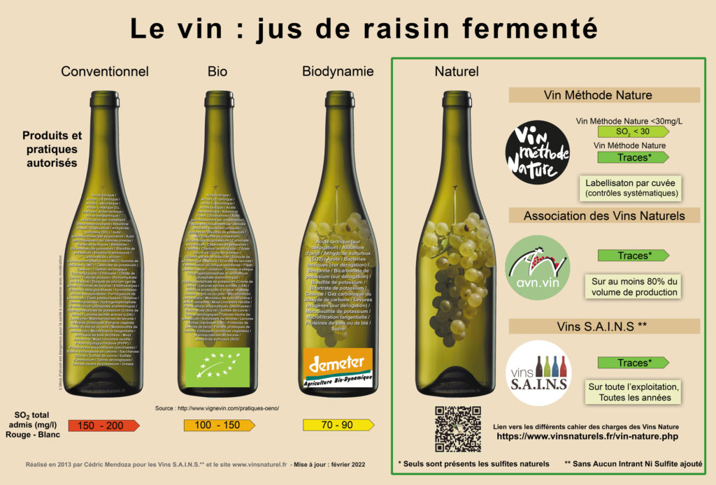 Infographique sur les différences entre vin convontionnel, vin bio, vin biodynamique et vin naturel