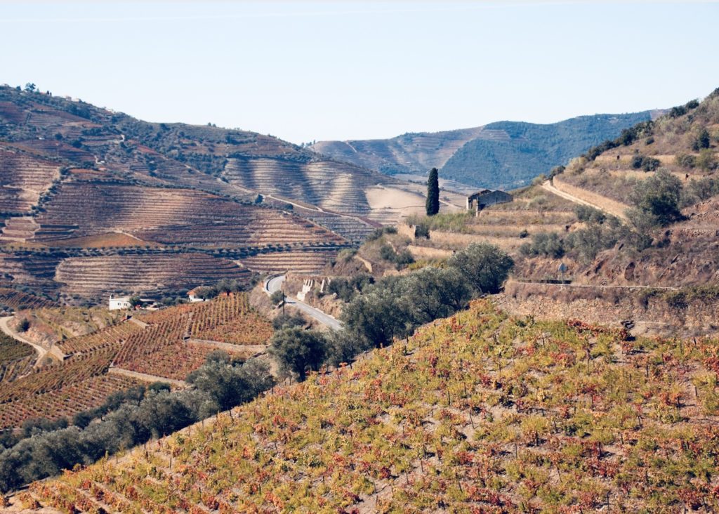 Vallée du Haut-Douro, zone d’appellation protégée du Porto et site UNESCO.