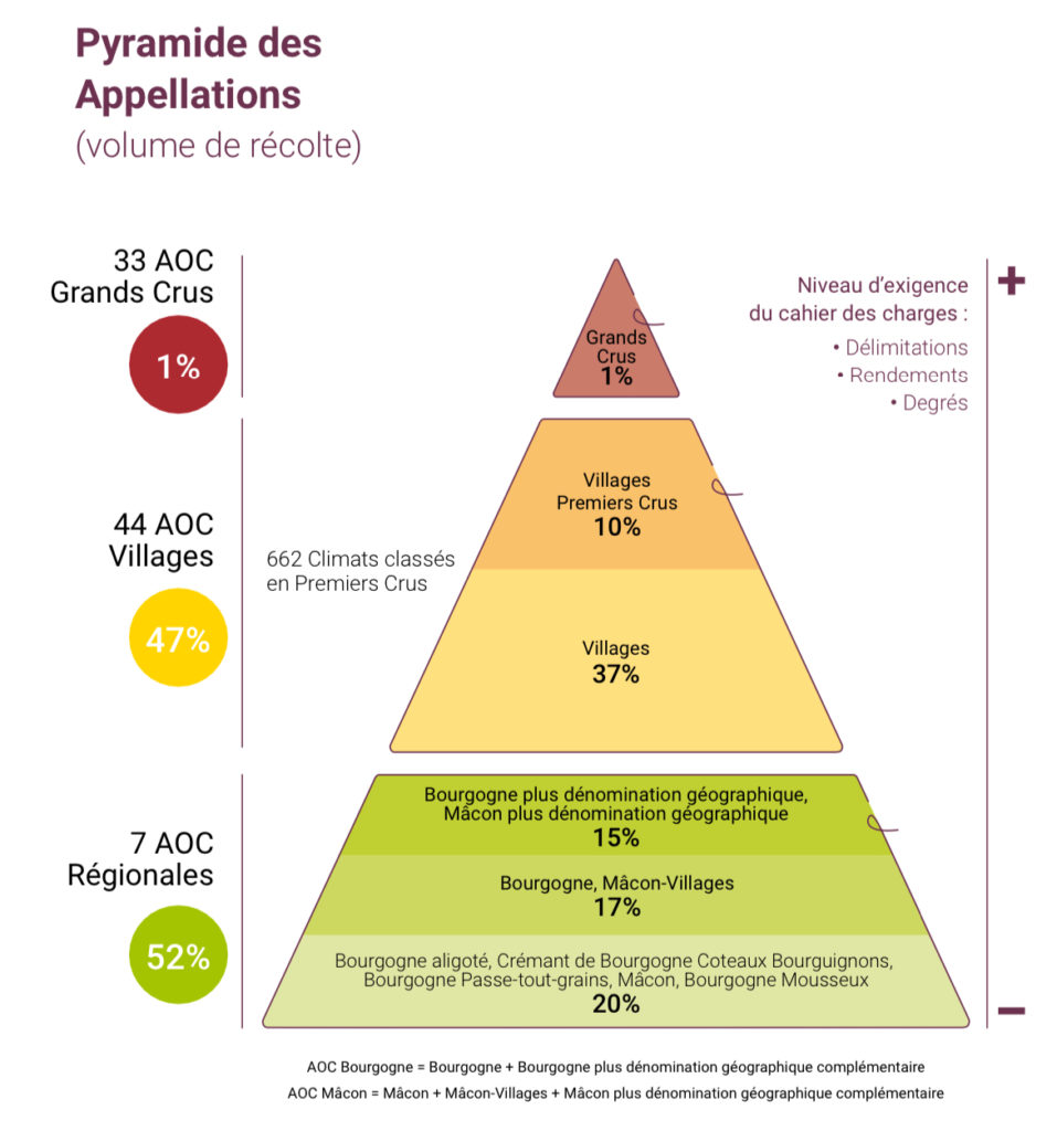 Pyramide des appellations