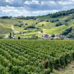 climats de Bourgogne