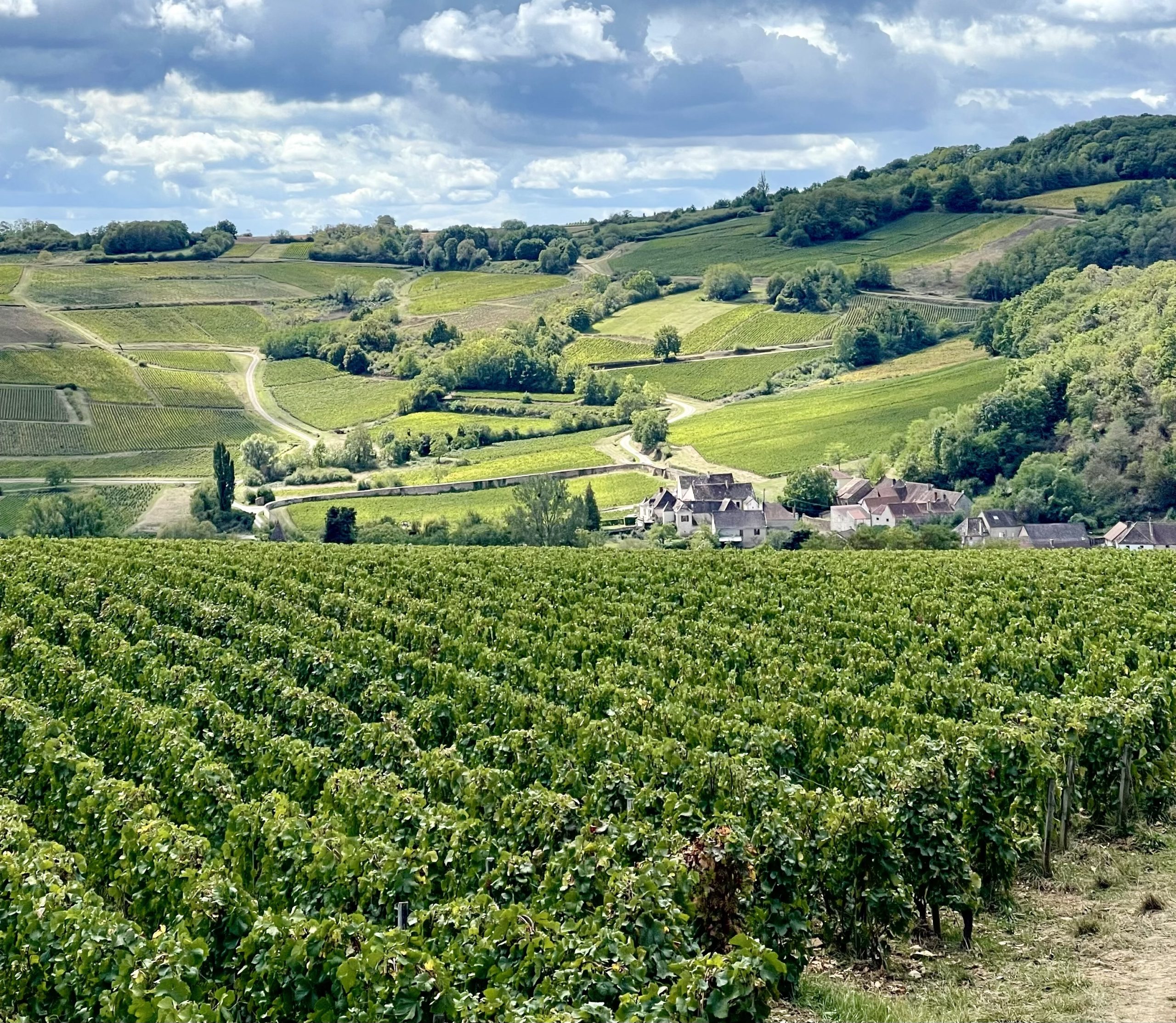 climats de Bourgogne