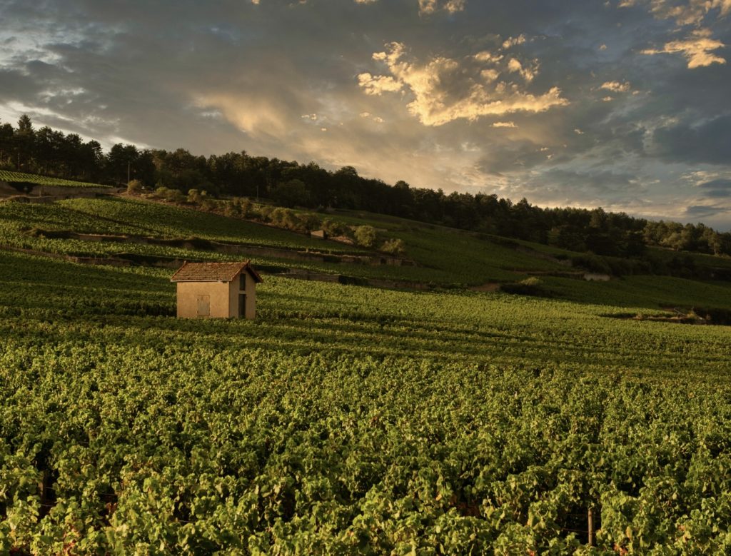 Climat des vins de Bourgogne